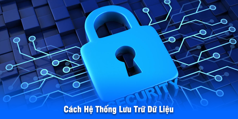 Cách Hệ Thống Lưu Trữ Dữ Liệu