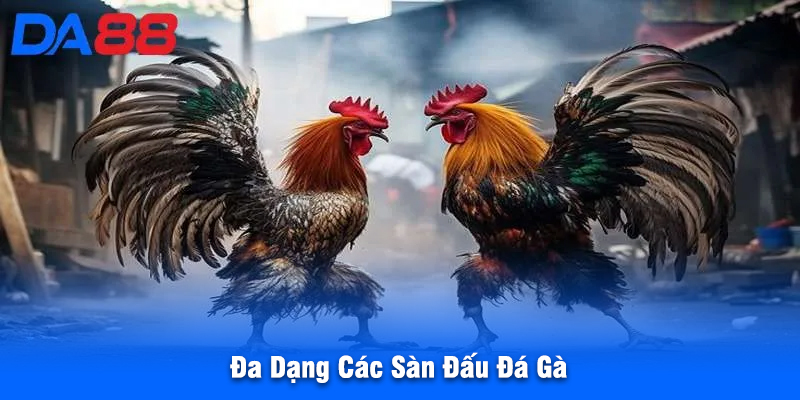 Đa Dạng Các Sàn Đấu Đá Gà
