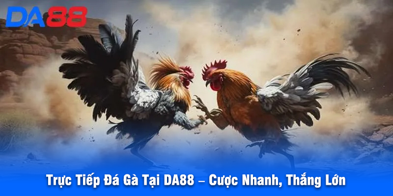 Trực Tiếp Đá Gà Tại DA88 – Cược Nhanh, Thắng Lớn